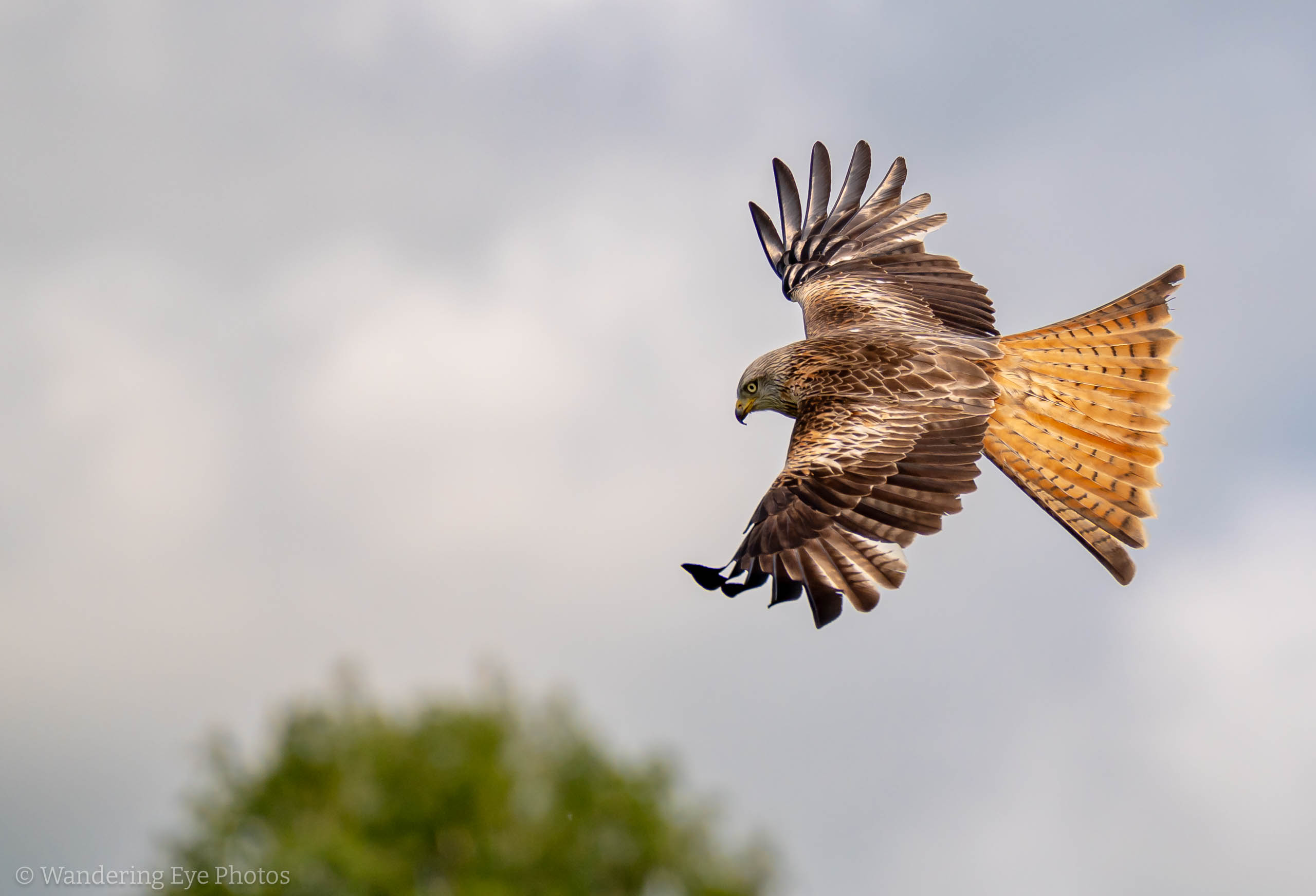 2023 05 22 15.59.58 DSC07096